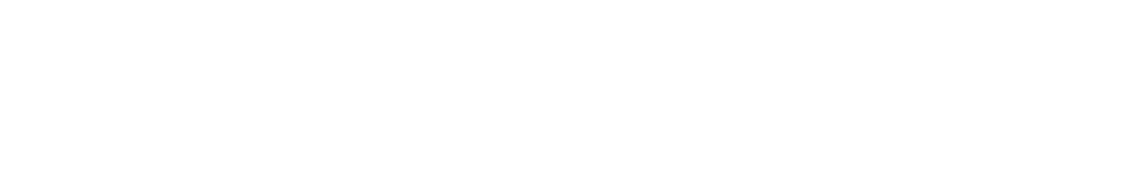Li Auto